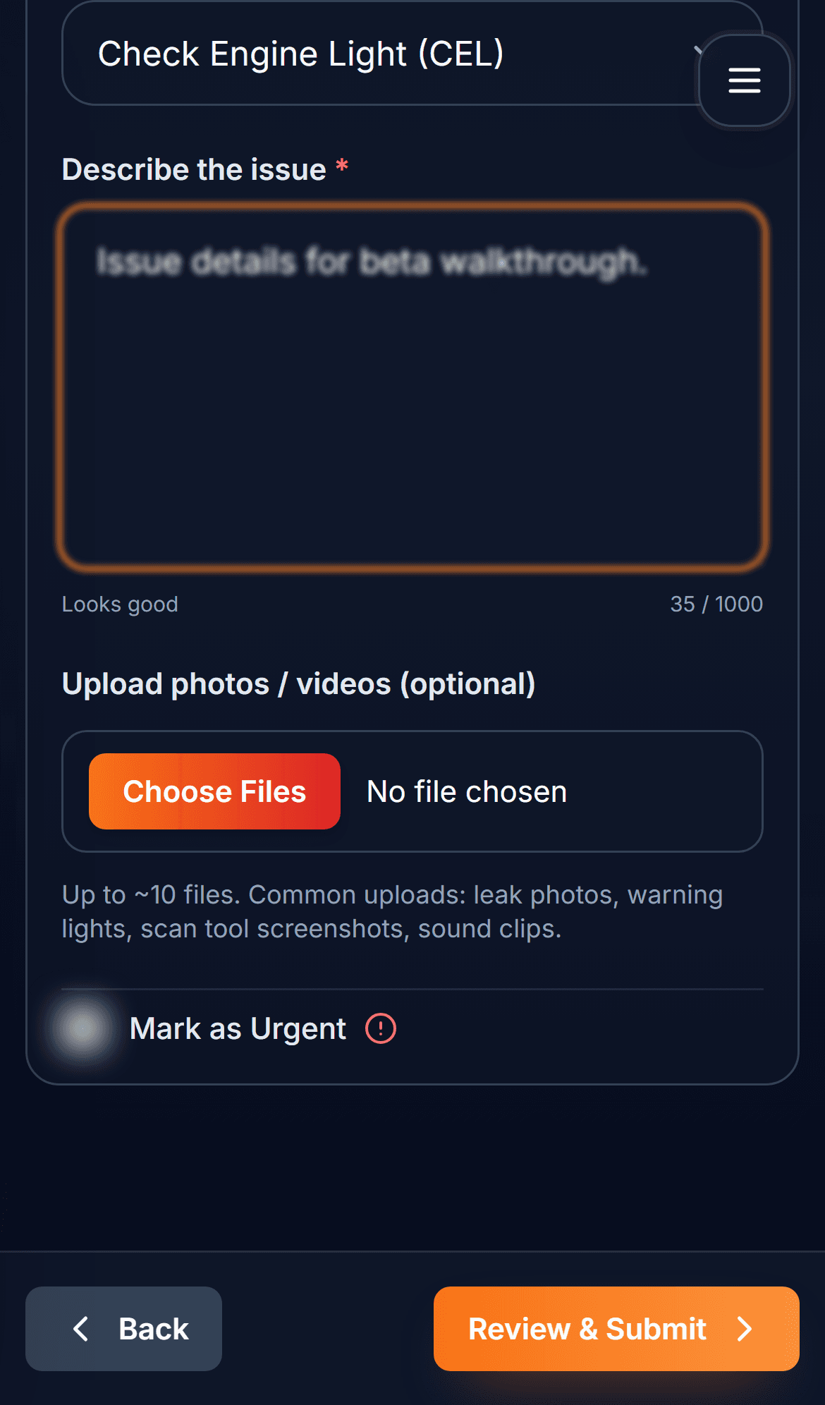 Concern description step